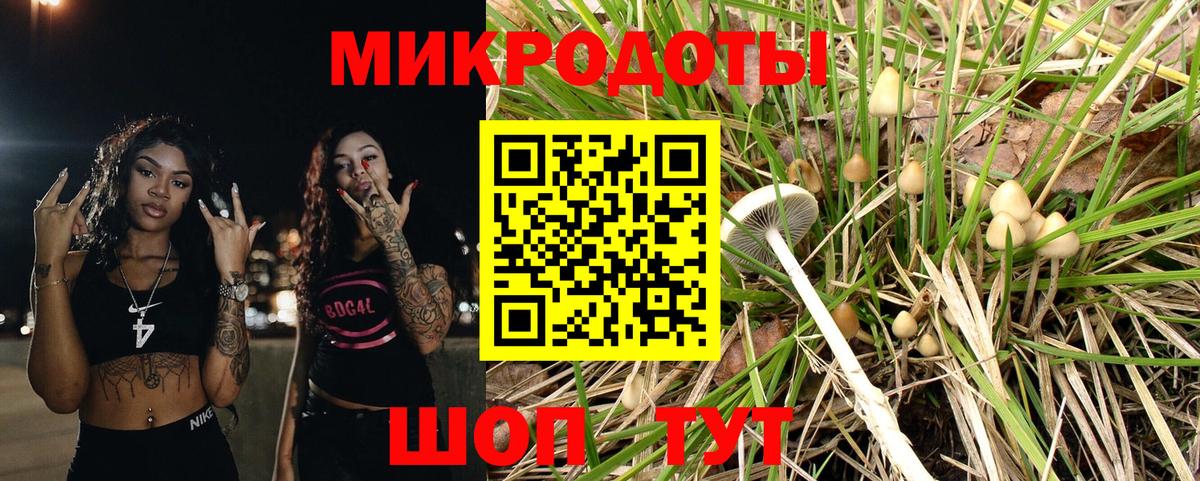 Ростов-на-Дону  Псилоцибиновые грибы мицелий  Вход с VPN  Псилоцибиновые грибы мухоморы 